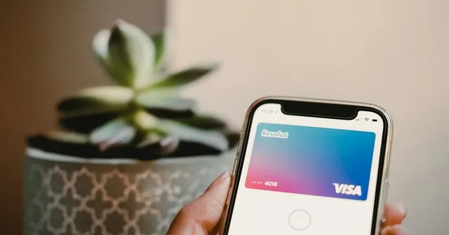 Garnishment of Revolut accounts